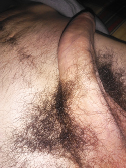 Sborro