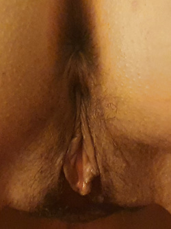 La mia passerina