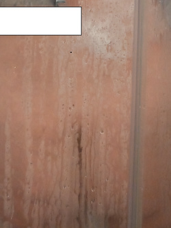 un po di foto nella doccia