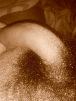 Cazzone Parte 38