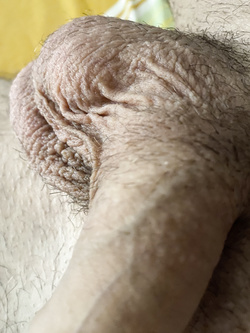 Mio amante