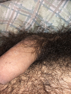 Il mio cazzo / My cock