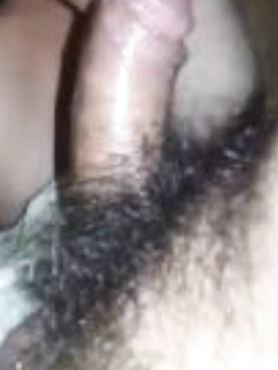 Le foto