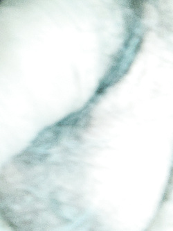 Cazzo stanco