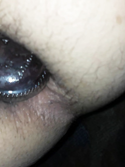 anale Parte 2