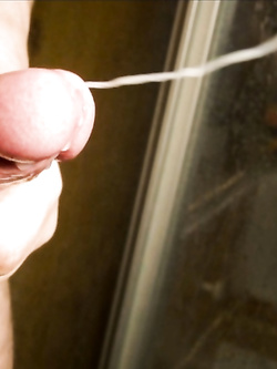 Il mio cazzo è mia cugina