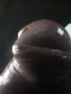 Tributo a mia moglie