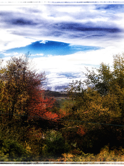panorama