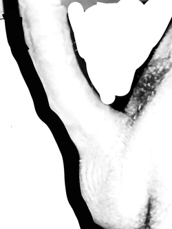 Cazzo Bianco/nero