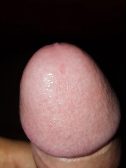 Contattemi