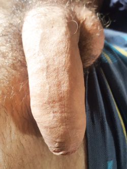 Chi lo fa alzare
