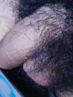 Il mio cazzo