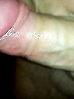 pandora  e