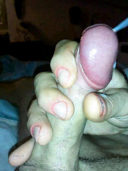 pandora  e