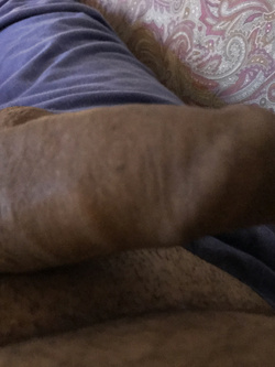 Il mio cazzo moscio