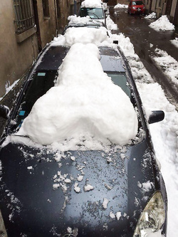 Cazzi di neve