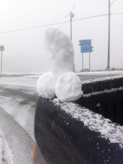 Cazzi di neve