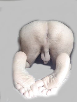 Piedi e culo