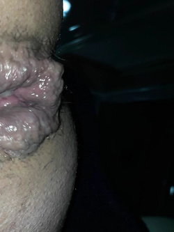muntain ass