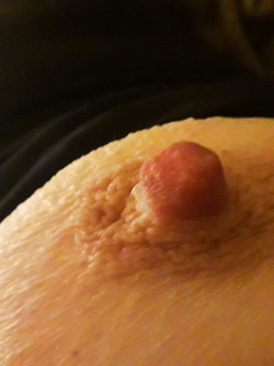 Stefy Parte 2