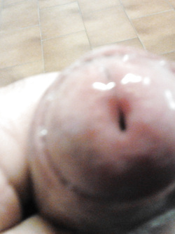 Fratellino