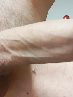Il mio cazzo