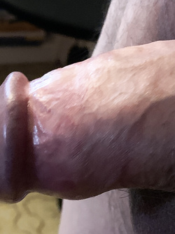 Il mio piccolo amico