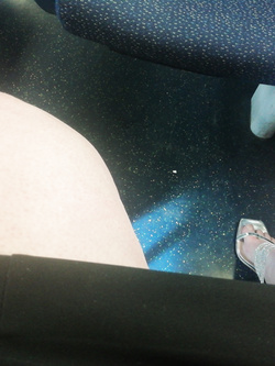 Molestata in treno
