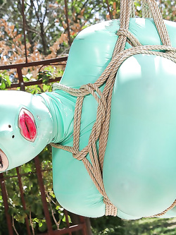 Latex Lucy