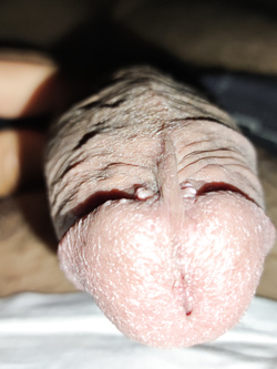 My dick precum