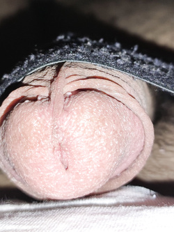 My dick precum