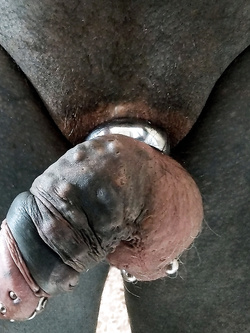 ..ma lei mi vuole anche così !