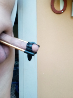 estensore  per Giacomino