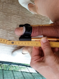 continuo a estendere Giacomino