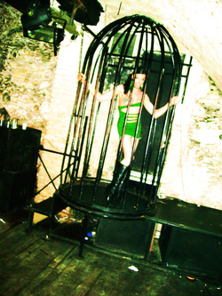 PER MAROCCHINI CHE SBORRANO DENTRO