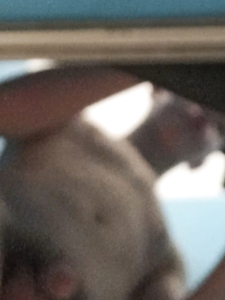 amico gay nello spogliatoio