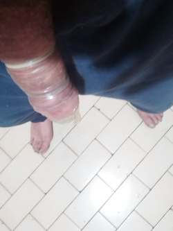 cazzo 23 centimetri