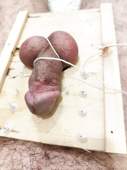 bondage cazzo