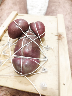 bondage cazzo