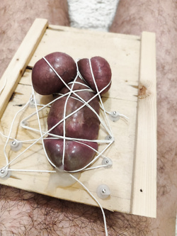 bondage cazzo