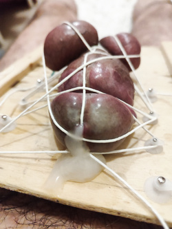 bondage cazzo