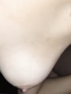 La porcellina in posa