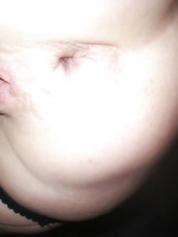 Pecorine e fiche
