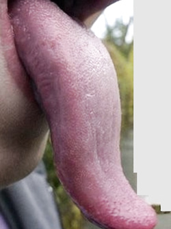 slurp