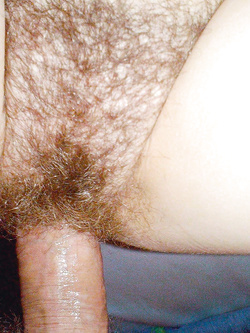 Terry Parte 3