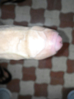 Il mio Parte 11