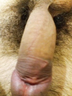 dotato