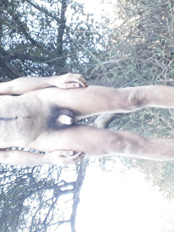 Nudo all'aperto
