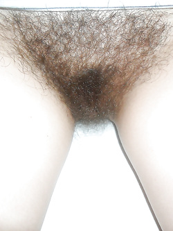 Due mogli pelose