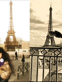 SUCA STO CAZZ VOL 0043